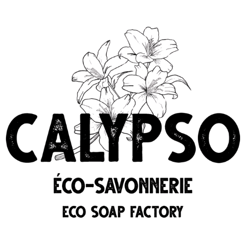 https://calypsoeco.com/